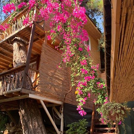 Large Bungalow With Sea View In Kabak Bay, Oeluedeniz Fethiye Eksteriør billede