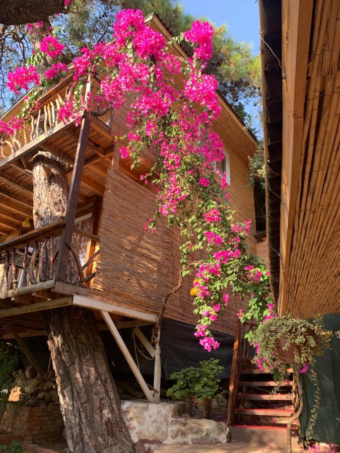 Large Bungalow With Sea View In Kabak Bay, Oeluedeniz Fethiye Eksteriør billede