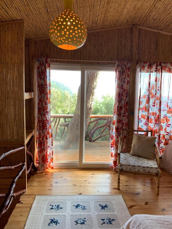 Large Bungalow With Sea View In Kabak Bay, Oeluedeniz Fethiye Eksteriør billede