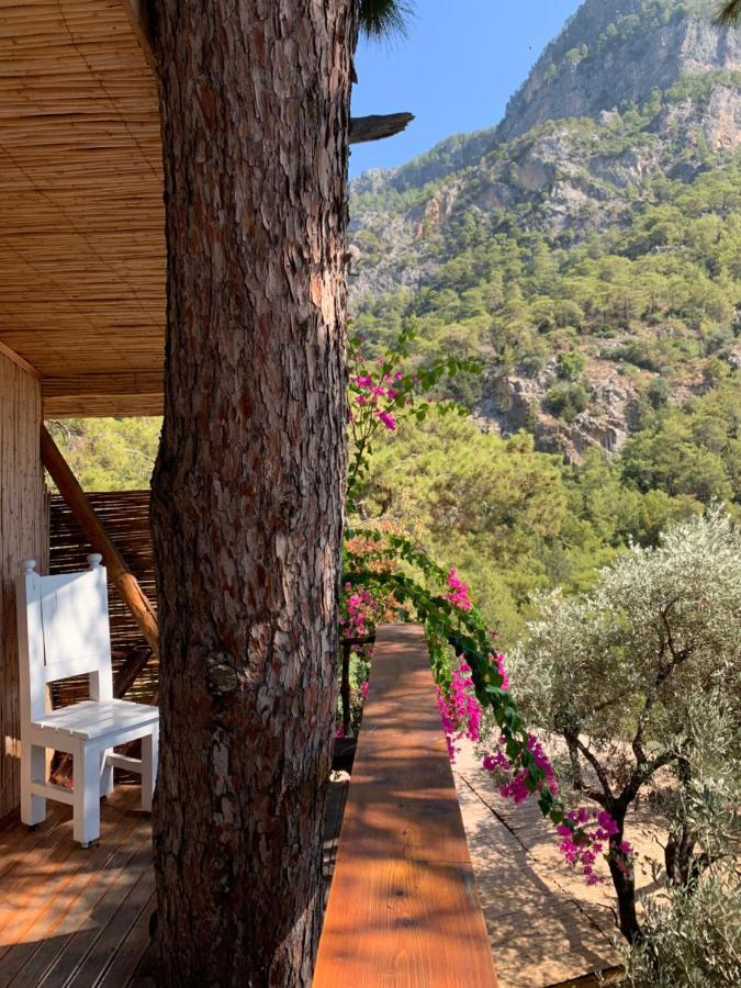 Large Bungalow With Sea View In Kabak Bay, Oeluedeniz Fethiye Eksteriør billede